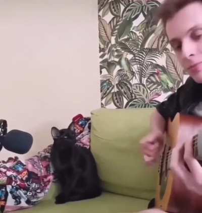 Sing along