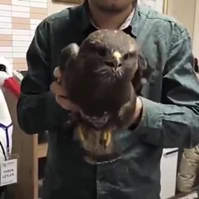 Стабилизация