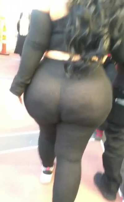 What a Sight 2 See