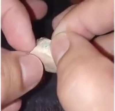 Lots of protein in one tiny bite