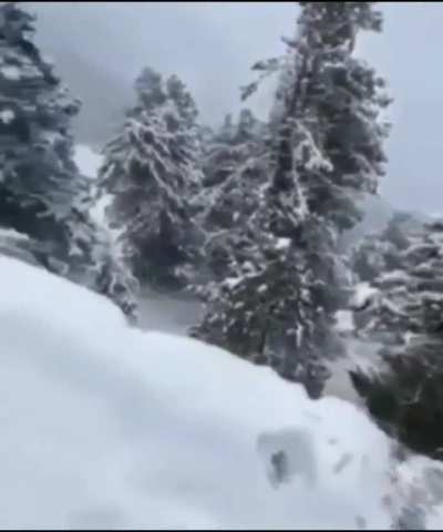 Thar skid on ice