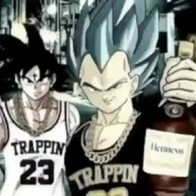 Ugh fine, I guess you are my little super saiyan