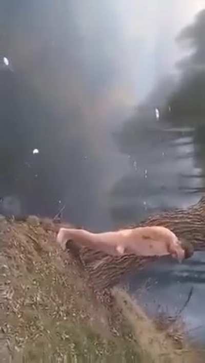 WCGW doing a backflip on ice naked
