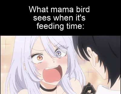 Jeez one at a time!