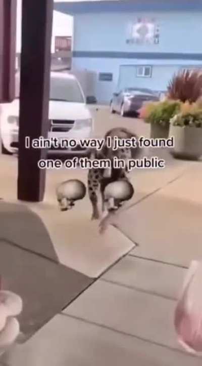 💀💀