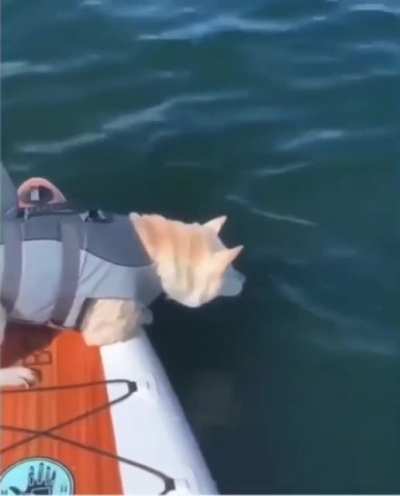 Not like that