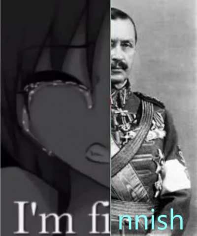 I'm not Finnish (inspired by another post, link in comments)