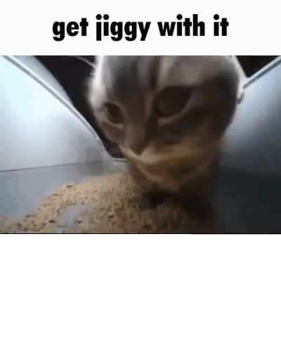 get jiggy with it