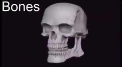 Jeo
