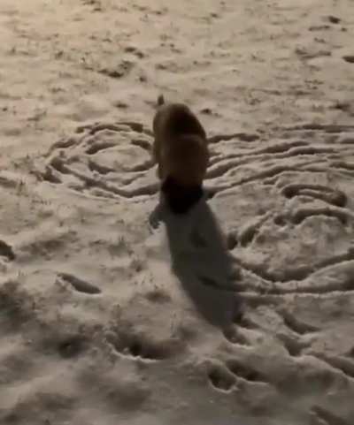 A dick move
