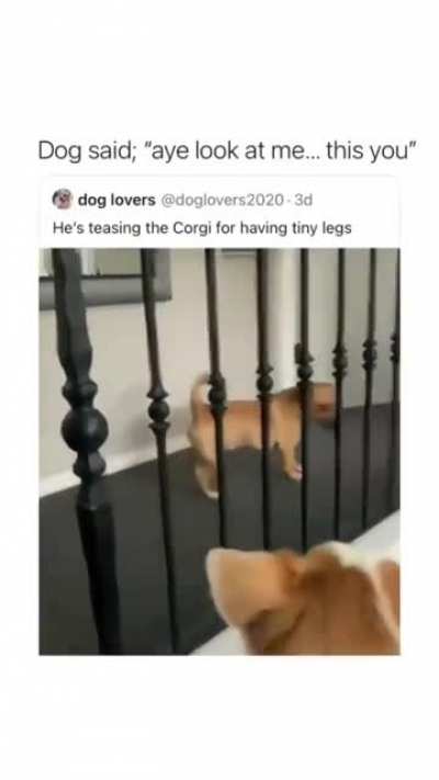 🤣🤣
