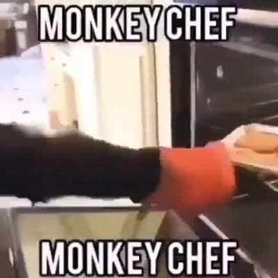 monkey rule