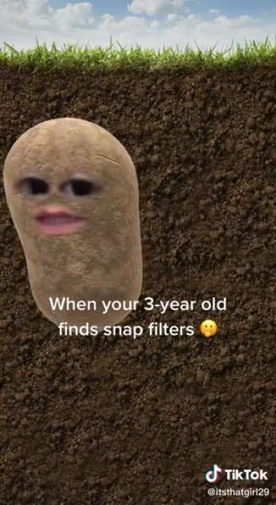 Snap filters
