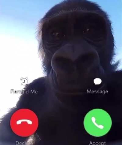 Monke arıyor açacak mısın?