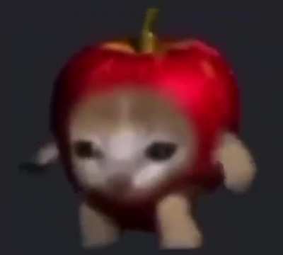 Gatito bailando con musica de ¿?. Si alguien sabe la cancion que me la diga