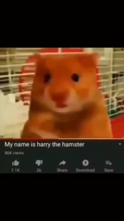 cursed_harry