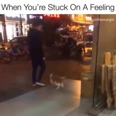 Kitty are you ok? Are you ok?