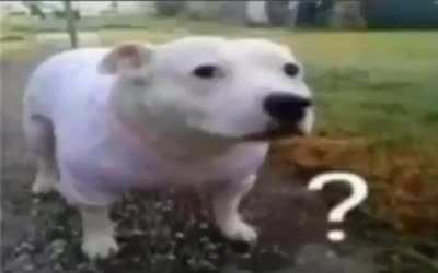 ?
