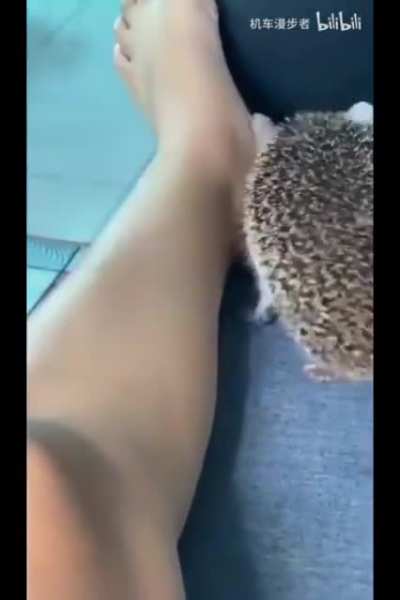 Nom
