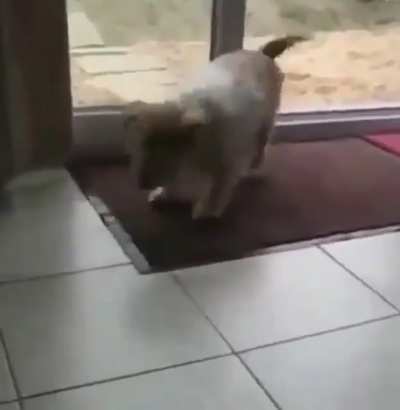 So polite