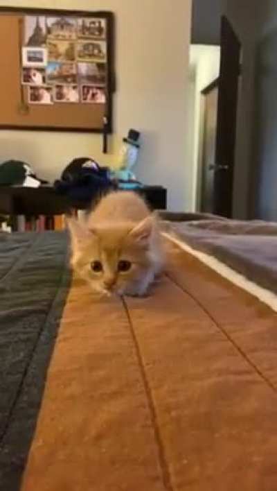 He Attac