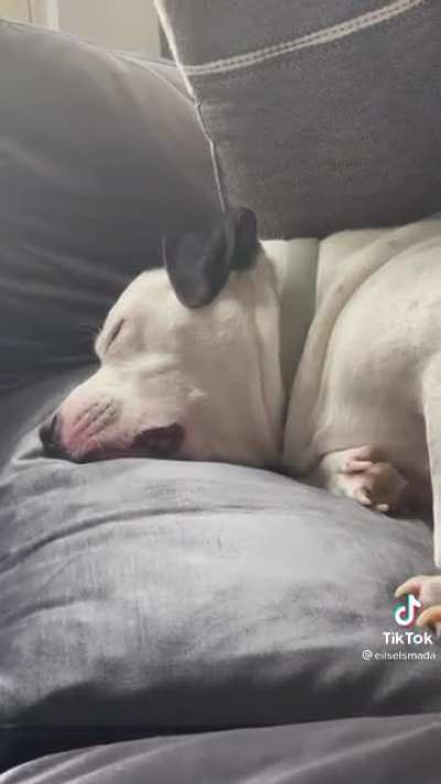 To cute not to share