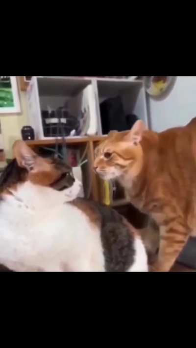 He is really fighting the urge