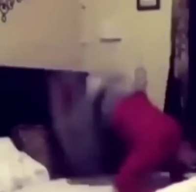 rip