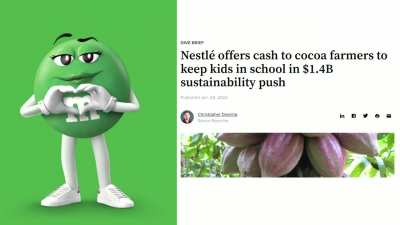 Green M&M reads about Nestle Child Labor