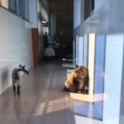 That sneaky slide.