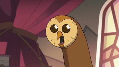 The owl house