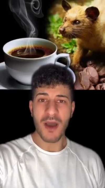 Ya olm bu sosyal medyadaki kaynağı açıklamayı yapanın g*tü olan, haberlere nasıl inanıyorlar amina koyim aklım almıyor