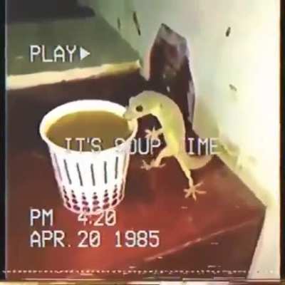 soup