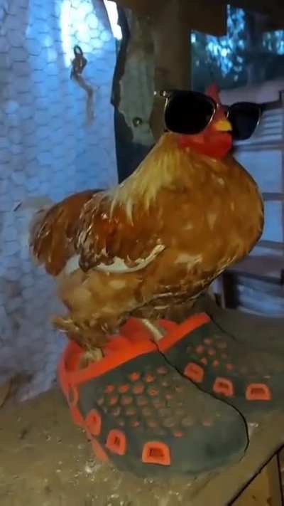 Deeamm
