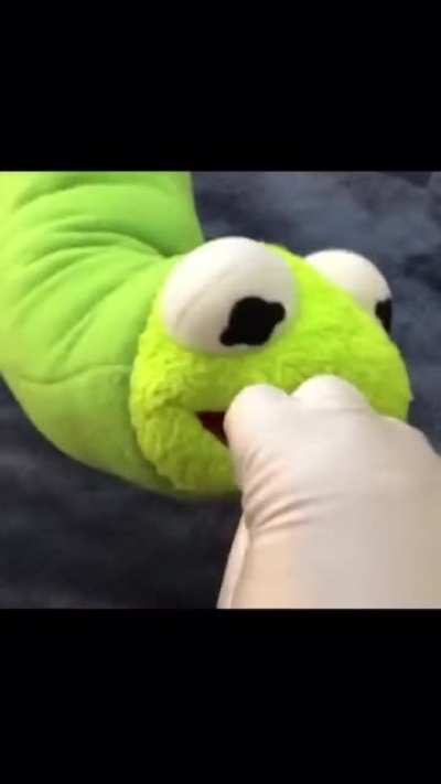 cake day gift to this sub xoxo