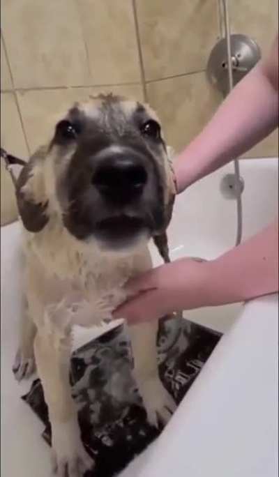 Жалуе<wbr>тся