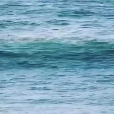 To surf