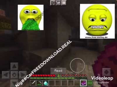 Minecraft 💎 Haram!!!! 😭😭😭😱😱<wbr>😱