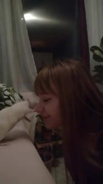 Hold still human! Must give love