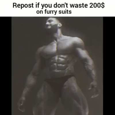 No furry