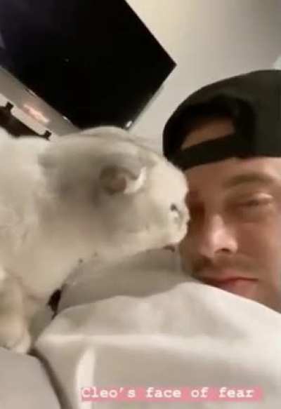 Poor kitty