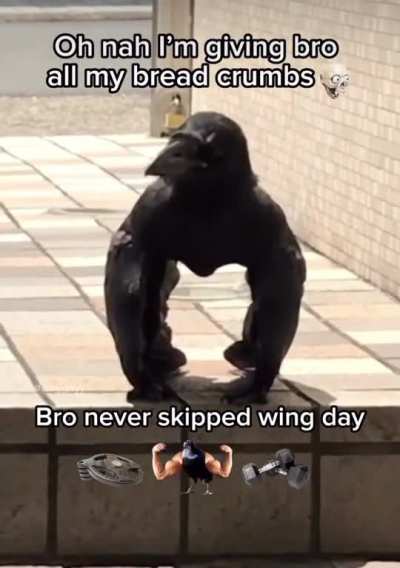 Have bird steroids gone too far?