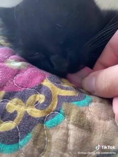 Short to long blep