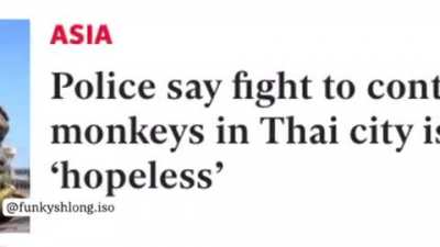 Monkè always win