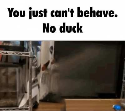 Rule pt. 1