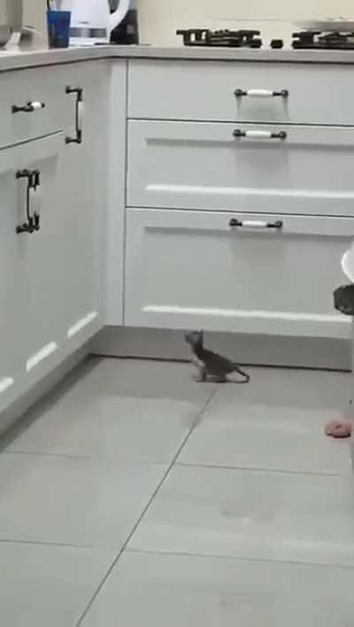 The ultimate leap of faith
