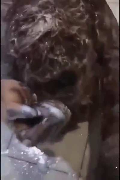 Ensaboando o amiguinho