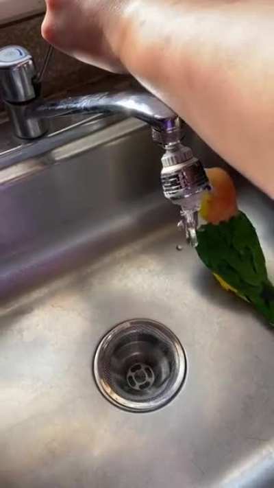 bath party