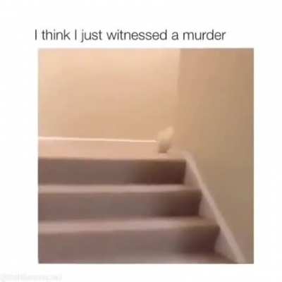 Malicious Doggo