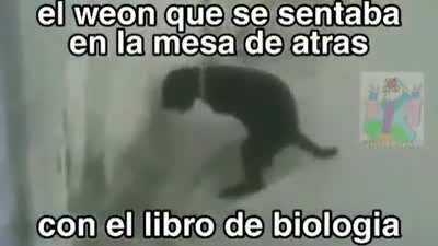 Esta en la página 53